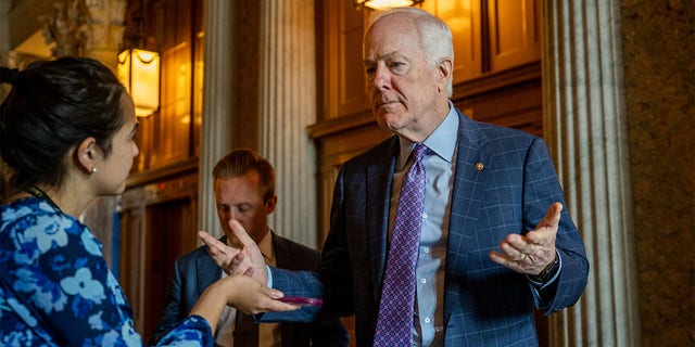 Sen. John Cornyn, R-Texas, said this week there is no sign of movement on a gun bill this month.