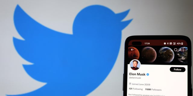 Elon Musk said Twitter will be "much better" in the future.