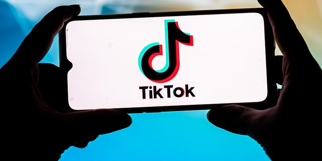 People have accused the Libs of TikTok account of spreading "stochastic terrorism."